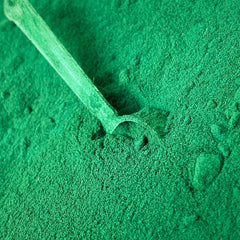 Spirulina Max
