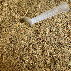 Zistrose