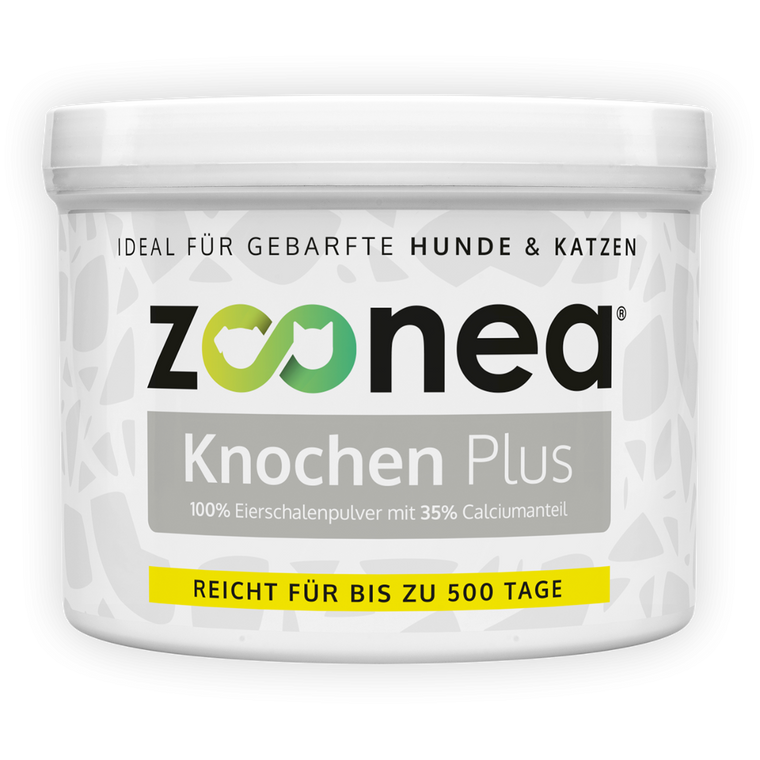 Knochen Plus