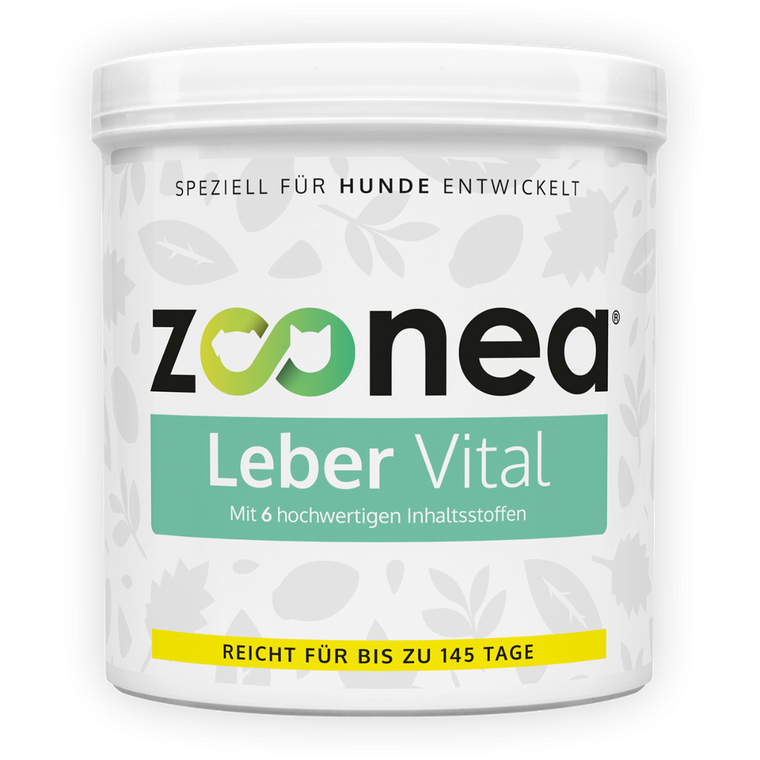 Leber Vital