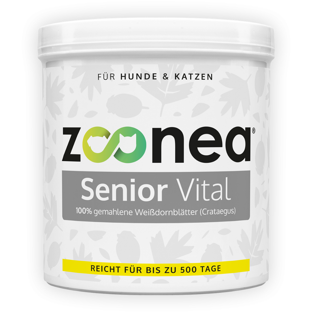 Senior Vital