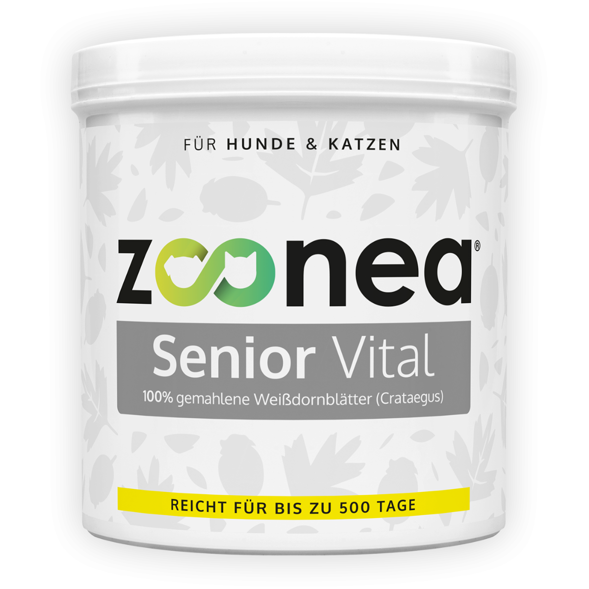 Senior Vital