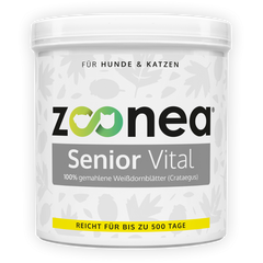 Senior Vital im Senior-Komplettpaket
