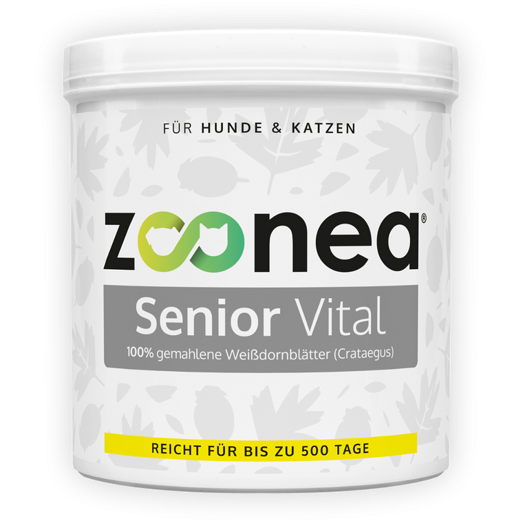 Senior Vital im Senior-Komplettpaket