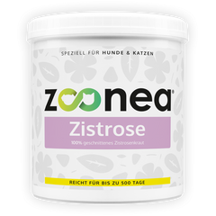 Zistrose