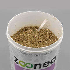 Zistrose