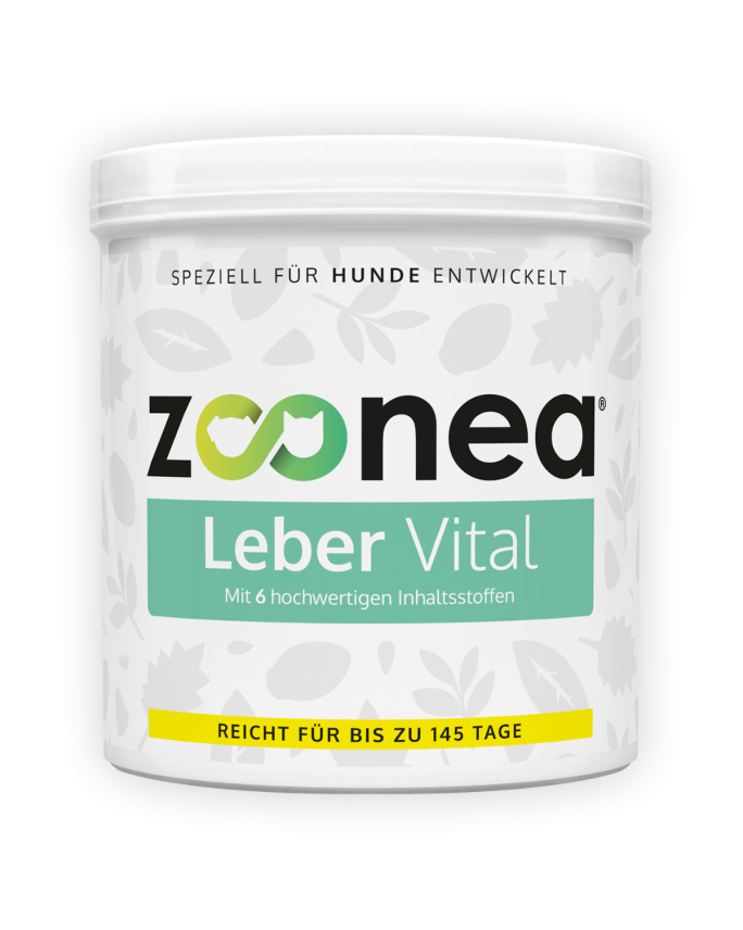 Leber Vital