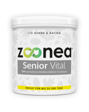 Senior Vital