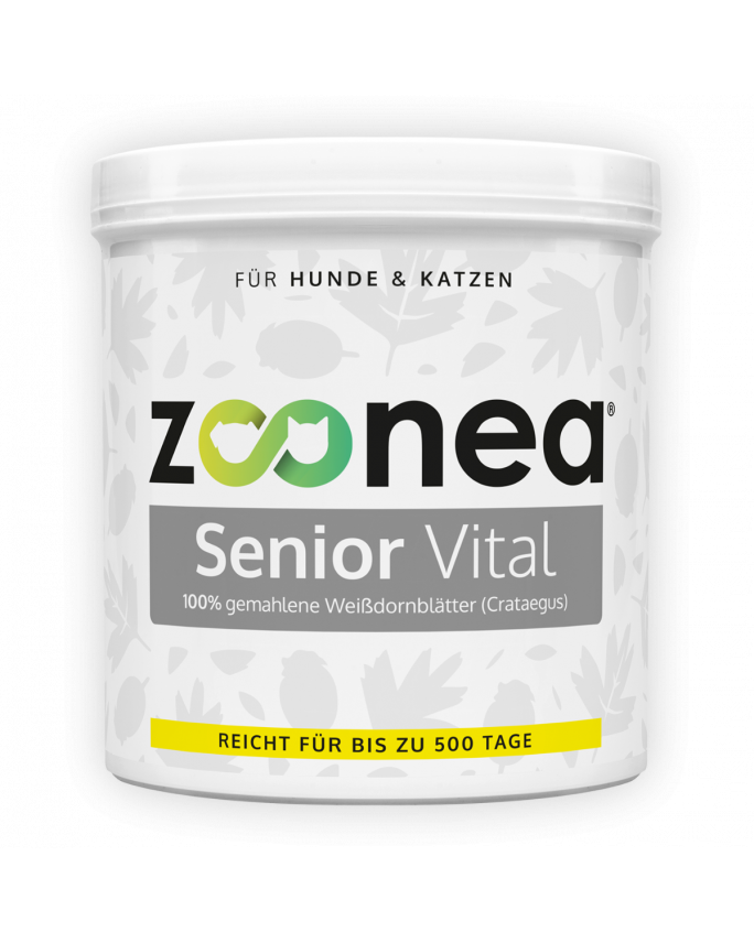 Senior Vital