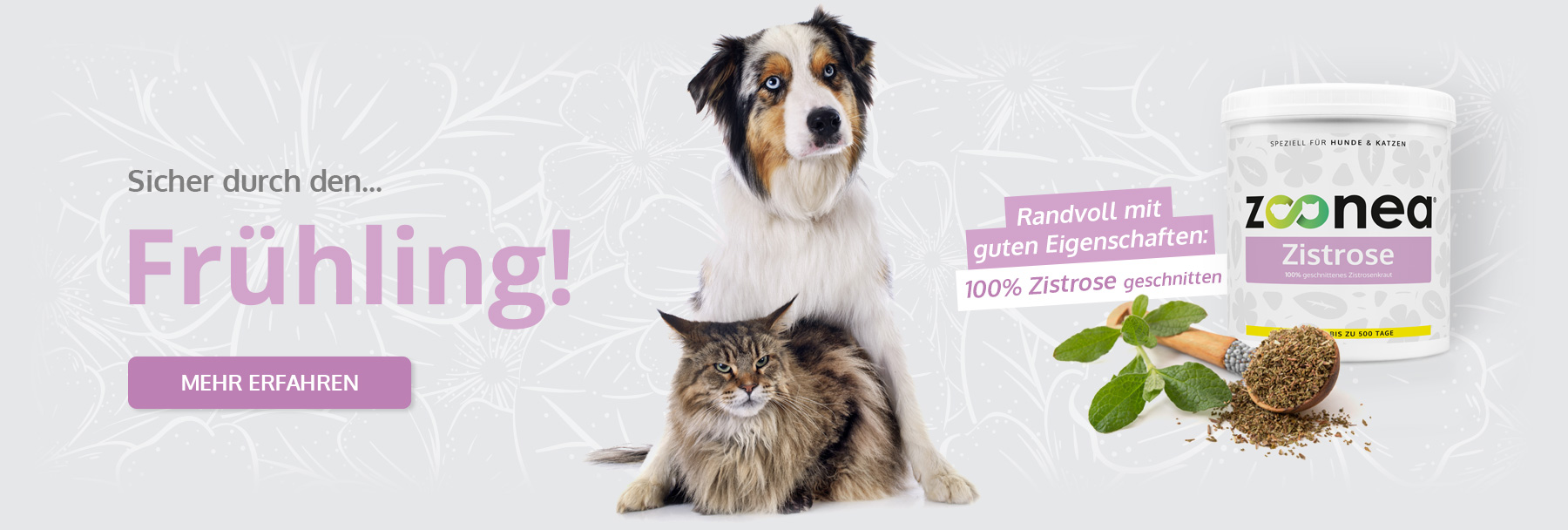 Zistrose für Hunde & Katzen