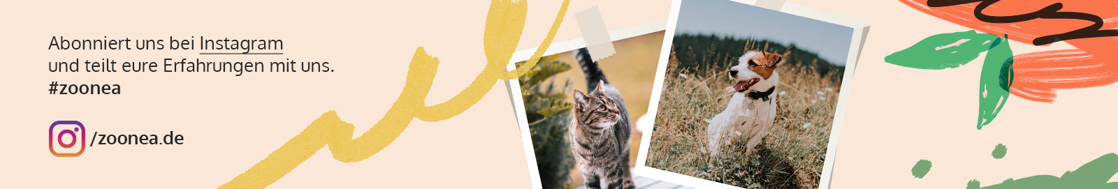 Folge Zoonea auf Instagram