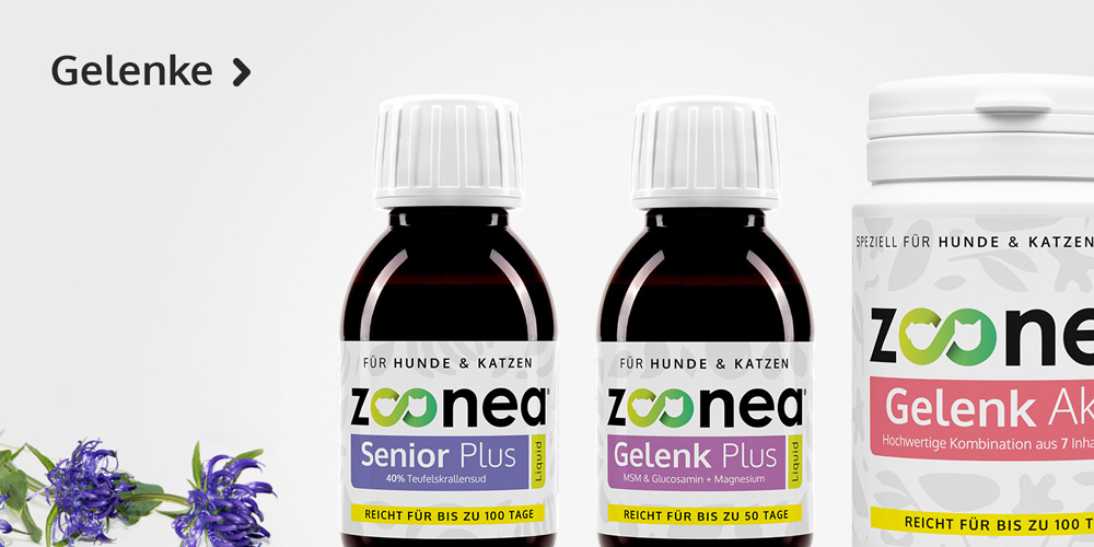 Gelenke - Teufelskralle und mehr