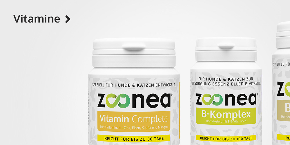 Vitamine für Hunde und Katzen