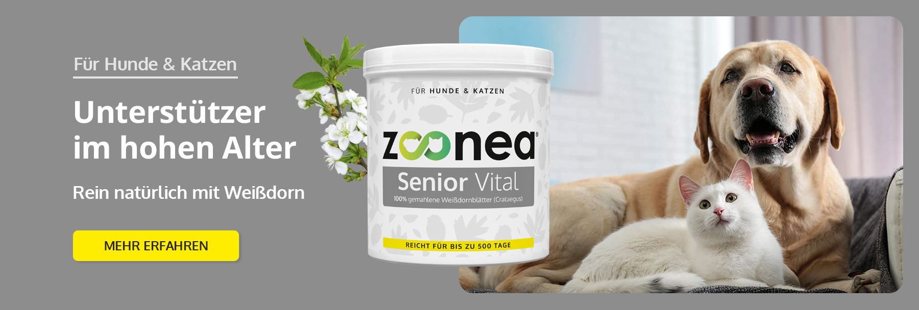 Weißdorn für Hunde & Katzen