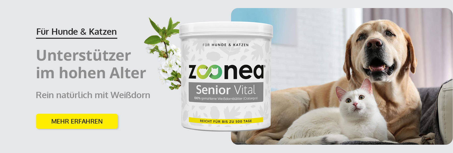 Senior Vital