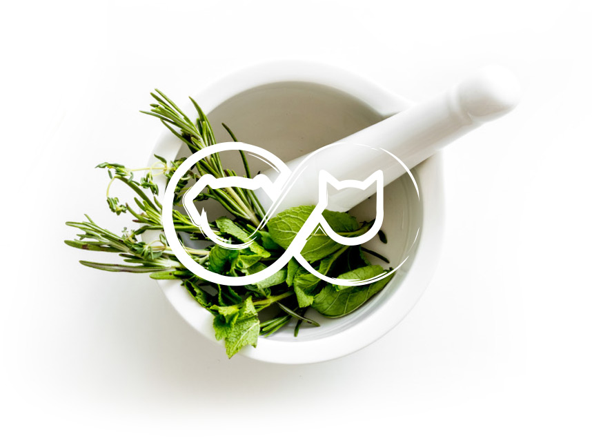 Natürliche Kräuter für Zoonea Produkte