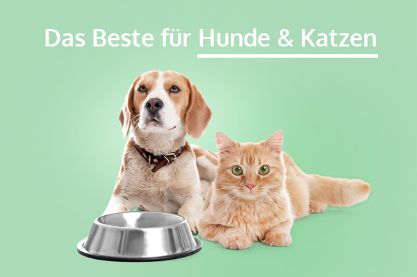 Tiernahrung kaufen