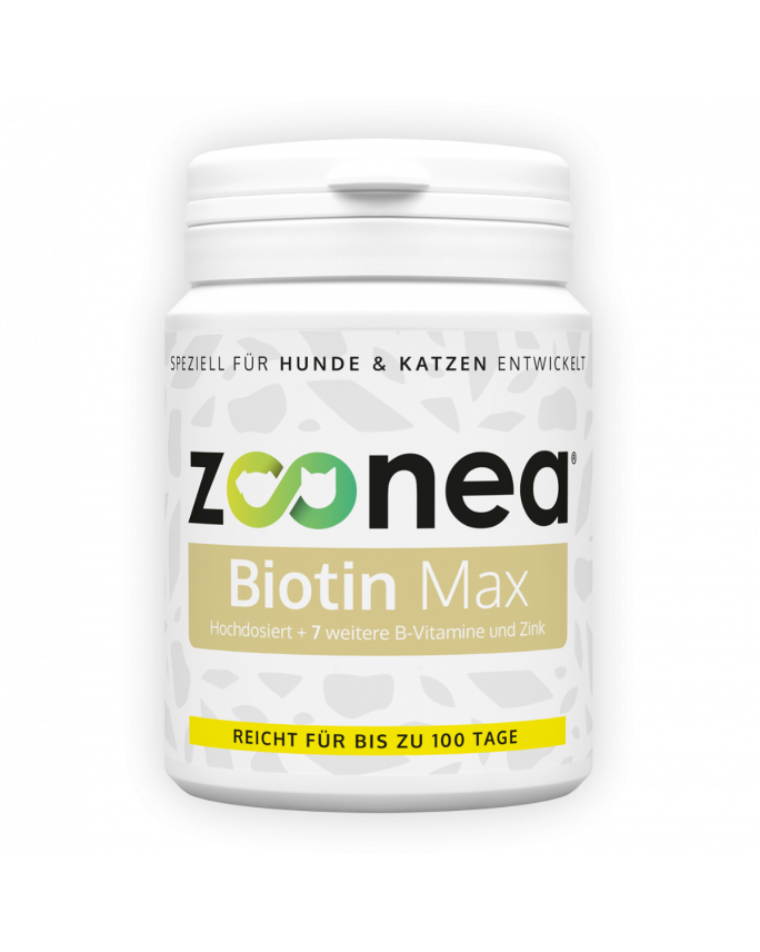 Vitamine für Hunde und Katzen Welche sind besonders wichtig?