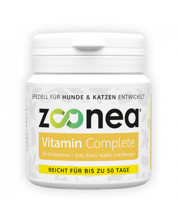 Vitamine für Hunde und Katzen Welche sind besonders wichtig?