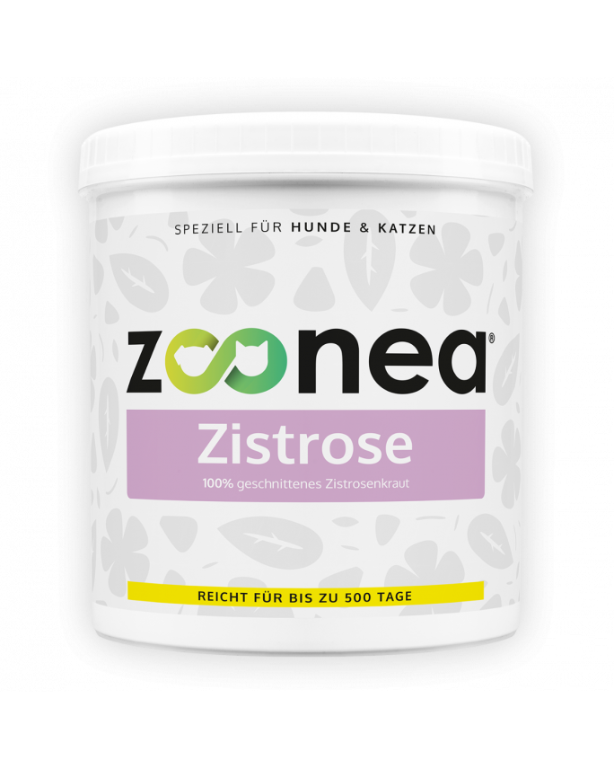 Zistrose bei Katzen & Hunden Was ist die Zistrose, wie wird sie